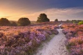 rit veluwe,posbank, ijsseldijk